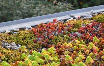 the cost of Poolhill green roof installation