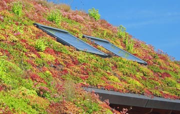 Poolhill living roof systems